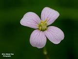 macro natuur 2023